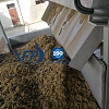 khach-hang-nen-chon-may-ep-bun-truc-vit-vi-sao