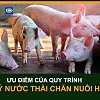 lam-sao-de-quy-trinh-xu-ly-nuoc-thai-chan-nuoi-heo-dat-hieu-qua