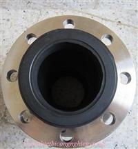 khop-noi-cao-su-dn-100