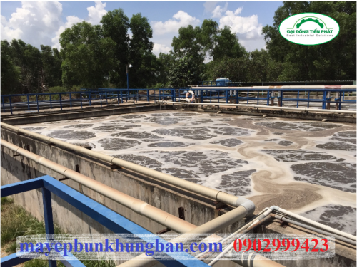 tim-hieu-ve-cac-loai-bun-thai